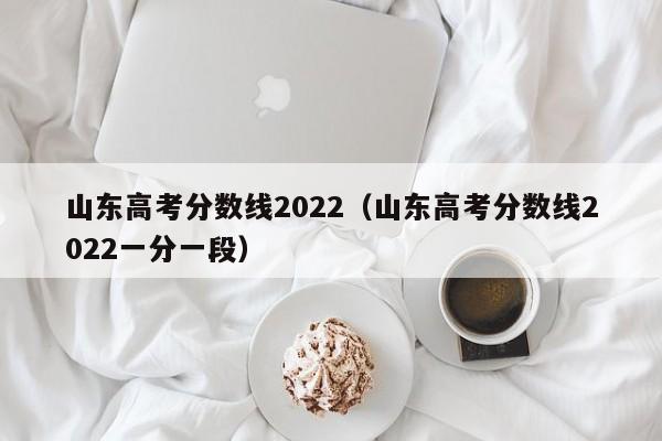 山东高考分数线2022（山东高考分数线2022一分一段）